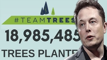 MrBeast Plants 20 million trees - #teamtrees - LIVE COUNTER