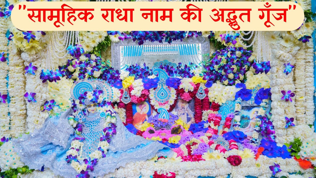 #7 " सामूहिक राधा नाम की अद्भुत गूँज " // राधा केलि कुँज // Bhajan Saar