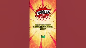 3 Riddles. How Many Can You Solve? | Day #1