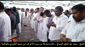 الشيخ : محمد عبد الحليم الصباغ ...... تلاوة مباركة من صلاة التراويح ... سورة الأعراف