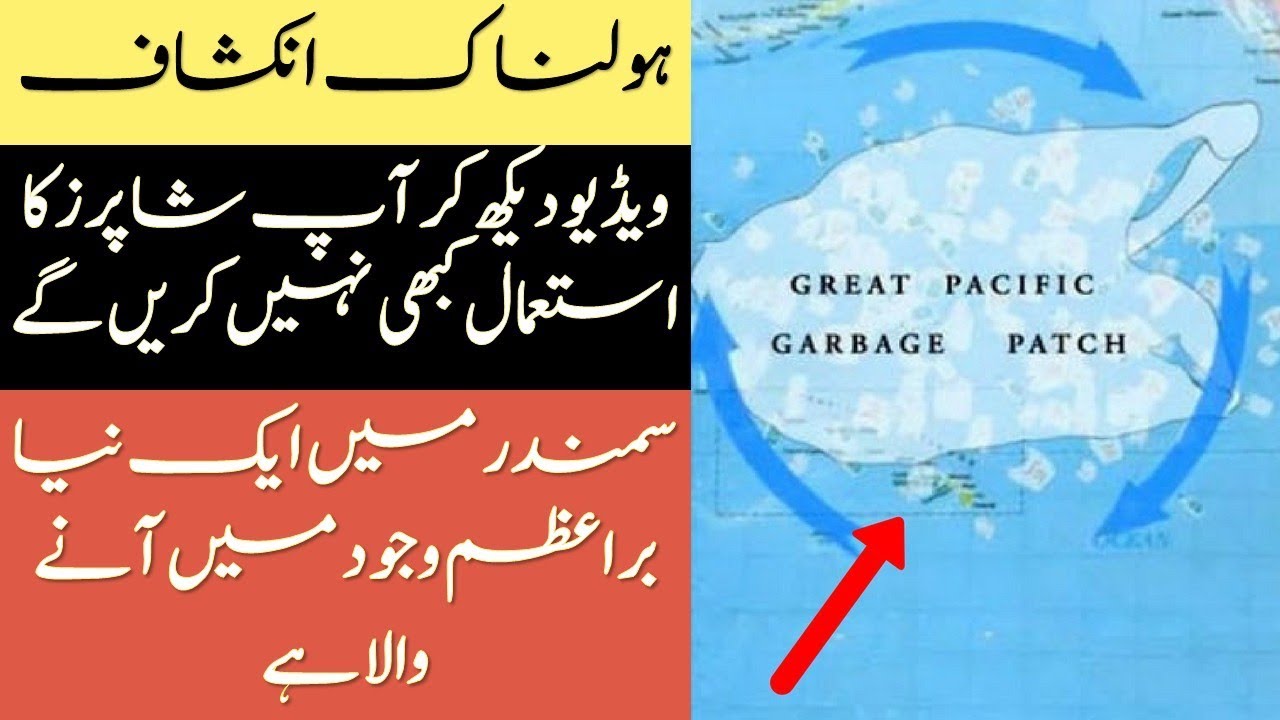 How Much Plastic Bags are in the Ocean In Urdu & Hindi Full Plastic