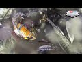 Bobby LePage #244 GoPro Lap | AMSOIL Championship Snocross