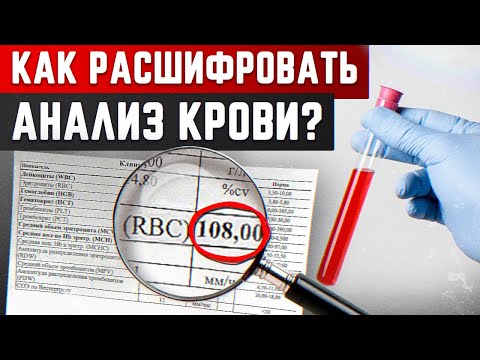 Общий анализ крови: учимся читать показатели! / Сколько эритроцитов должно быть в норме?