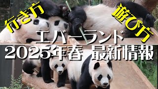 韓国で大人気? バオファミリーに会いたくて? - YouTube