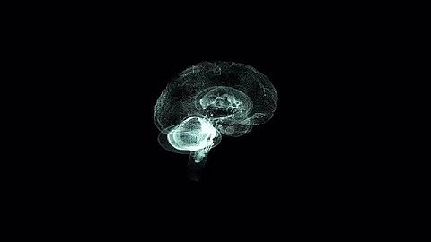 Brain Hologram Stock Motion Graphics