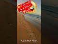 ياللي بتفك ر في ا أحسن لك اص طاد كابوريا Shorts Reels قصيدة شعر صلي على النبيﷺ Reels شعر