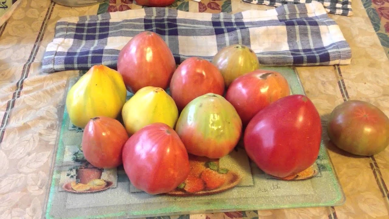 Oxheart Tomato Varieties