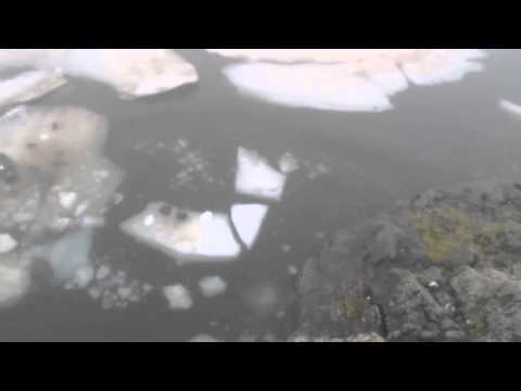 გაყინული ტბა, საქართველო (1) / Frozen Lake, Georgia (1)