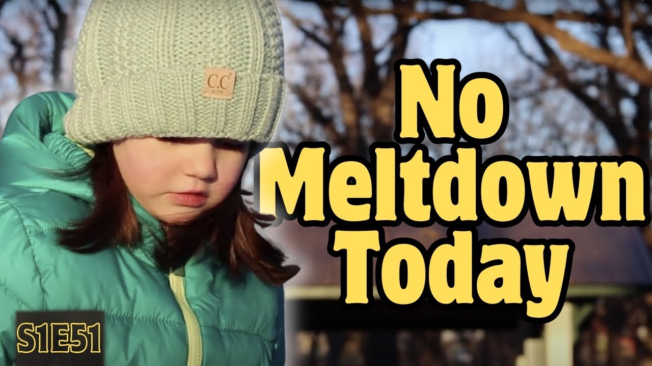 Autistic Girl's Perspective Of Self Regulating To Prevent Meltdown