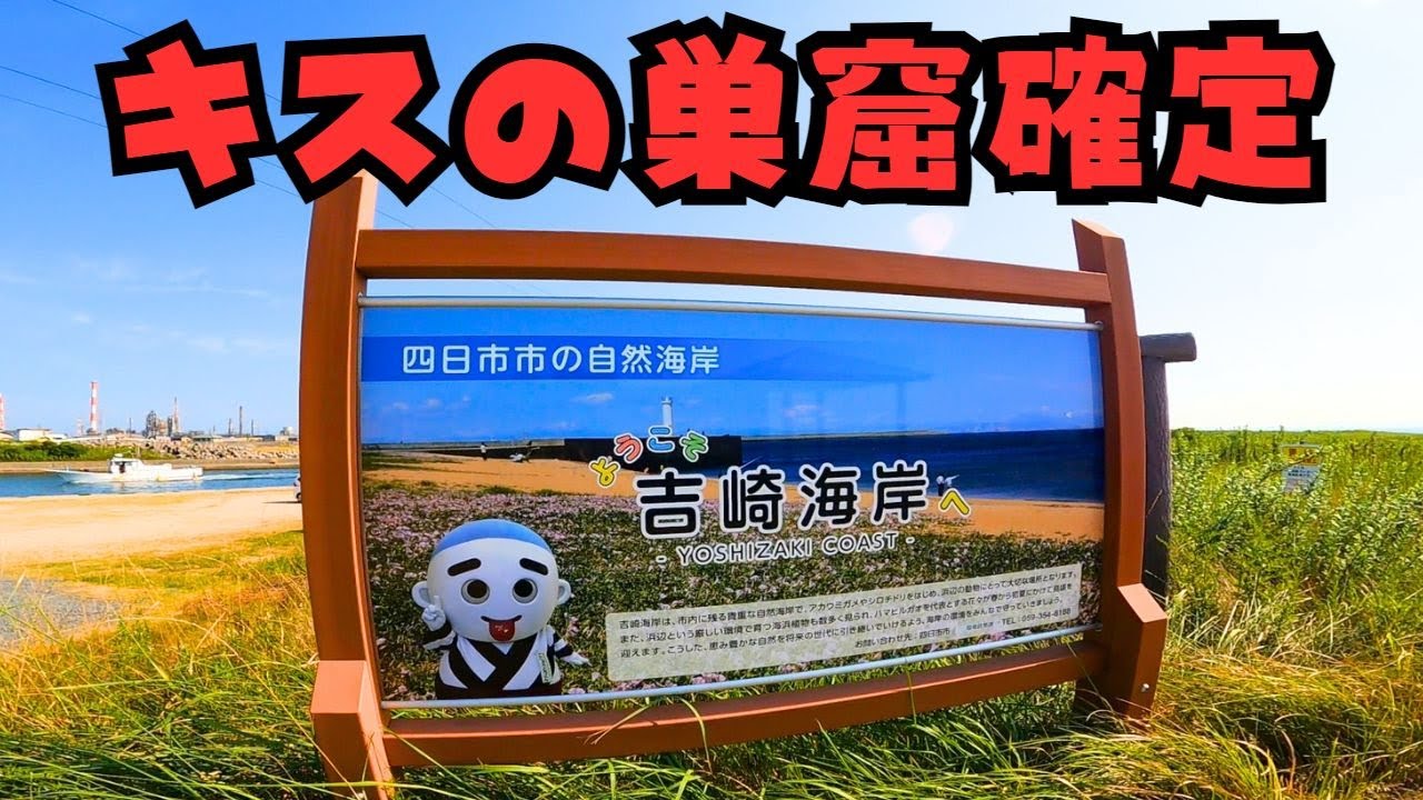 [キスの巣窟]  広末〇子好きなキスを含む大爆釣な釣り場！ [キス釣り] [三重県釣り][吉崎海岸釣り] [磯津漁港釣り]