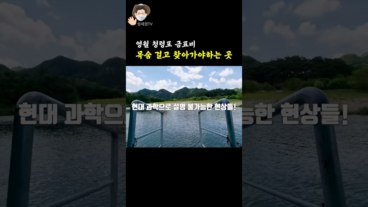 영월 단종애사 3 목숨 걸고 찾아가는 청령포 금표비 #shorts 아름다운 청령포는 조선 비운의 어린 임금 단종의 감옥 강원도 영월 여행