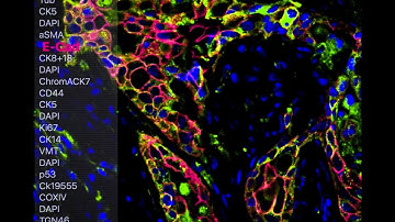 KDAB at Qt World Summit 2017