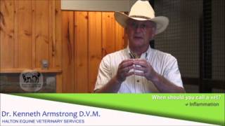 Working with Your Vet - WHEN TO CALL - Dr. Ken Armstrong