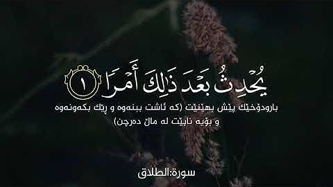 سورة الطلاق لا تدري لعل الله يحدث بعد ذلك أمرا