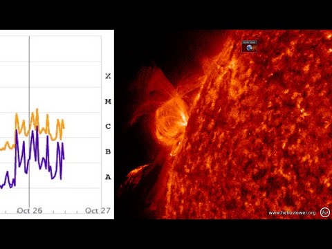 Vidéo: Sunberry Est Une Baie Du Soleil. Partie 2