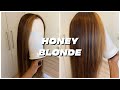 D.I.Y BLACK TO BROWN TRANSFORMATION WITH HIGHLIGHTS ON A LACE FRONTAL WIG | HONEY BLONDE