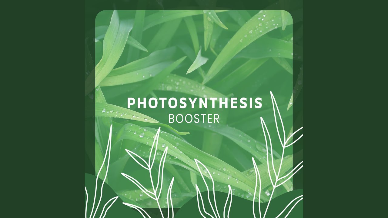 Plants Music Background