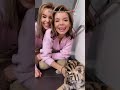 Наша булочка❤️ Our bun❤️#Shorts