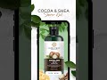 Shop the best shower gel in india by alina caily  cocoa  shea butter sower gel 250ml  shop now