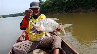 Macing rawai lintang teknik bering tangan dapat babon