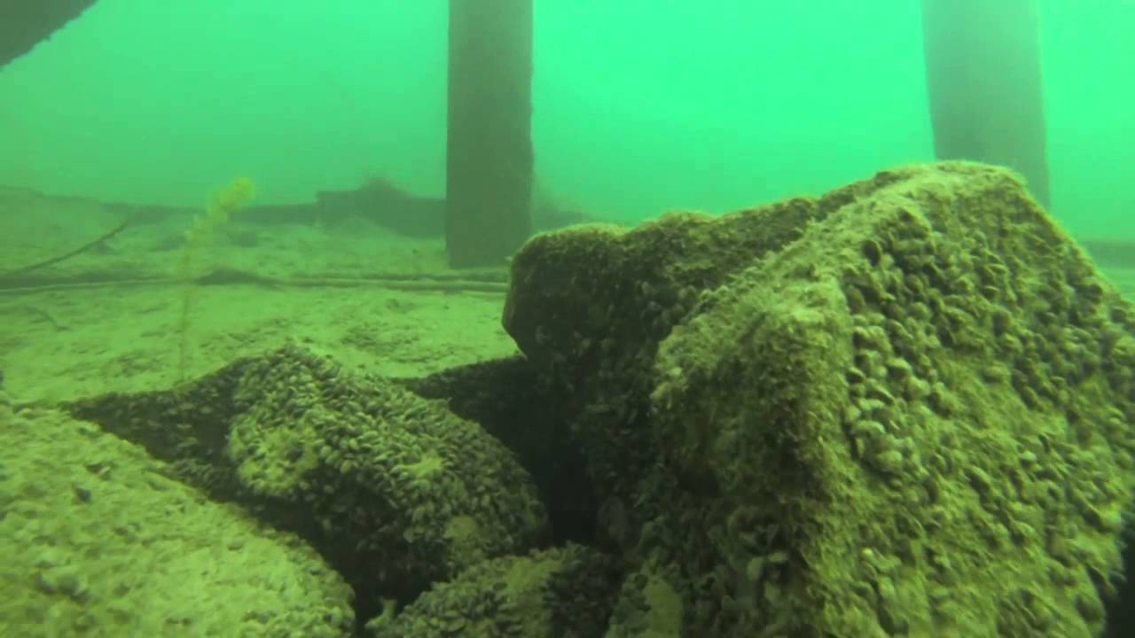 Tauchen mit Kids, Rheinau Zollbrücke 2013 YouTube