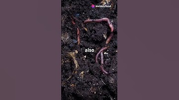 10-Year Organic Fertilization Study in Austria #sciencefather #researchawards #OrganicFarming