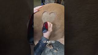 Her Final Two Months With Horse