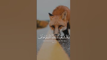 وقال فرعون ذروني اقتل موسى | خالد الجليل #تلاوة_خاشعة #اكسبلور #المصحف #قرآن #قران_كريم #راحة_نفسية