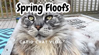 Best DIY | Catio Chat Vlog #pets #animals #catvideo #cats #catlover by Maine Coon Capers 522 views 3 weeks ago 5 minutes, 30 seconds
