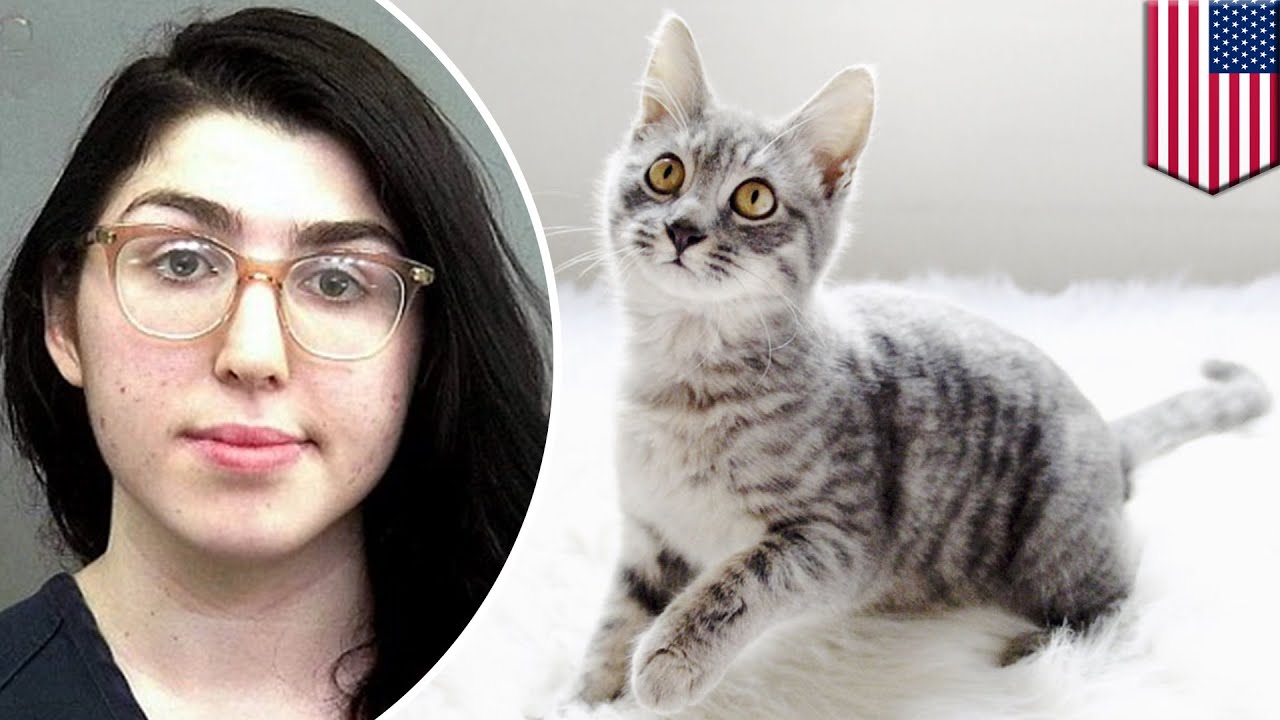  Cat  ransom College student  arrested for demanding 20 