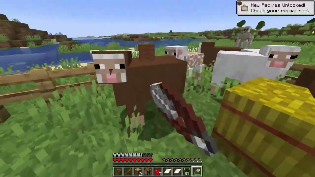 Cash minecraft SPEEDRUNNER VS PRO HUNTERS Trial #04