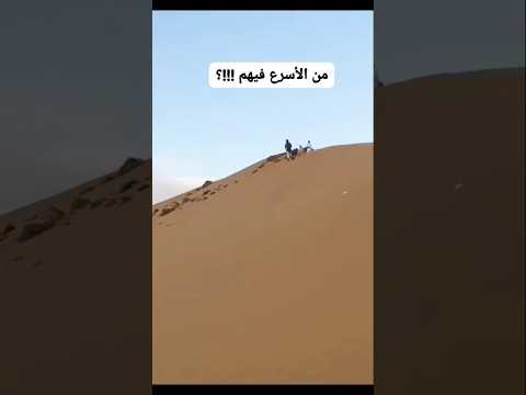 من أكثر المواقف جنونا وضحك