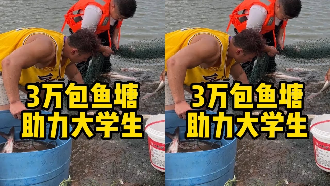 华哥花30000元包下泸州鱼塘，没想到当地粉丝太热情了，看看到底能上多少鱼？
