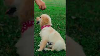 5 Faits Incroyables Sur Les Illusions Doptique