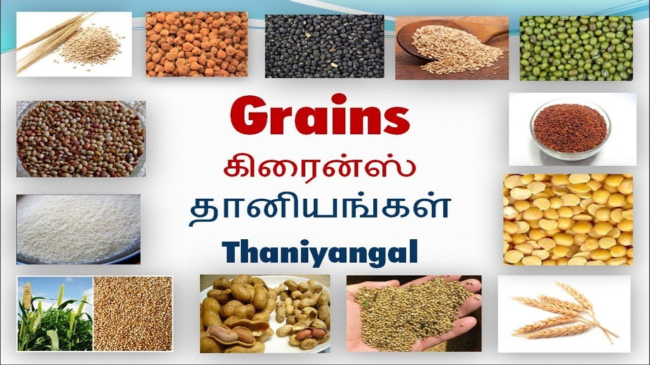 Vocabulary about Grains with pictures including Tamil ...