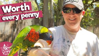 Why Did I Never Do THIS? | Lorikeet Landing, Bats & More Open at the San Diego Zoo Safari Park 2021