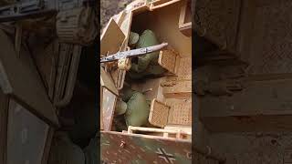 🔥  Sd.Kfz. 251 1/16 Torro  🔥 Im Detail 🔥