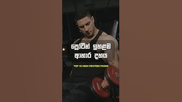 Top 10 High Protein Food