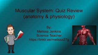 Muscular System: Quiz Review Lesson (anatomy & physiology)