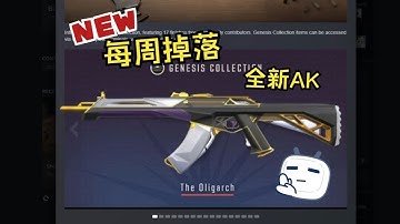 【CS2】竟然不是武库皮肤？！全新箱子类 终端 上线！可开出 紫金AK   AWP可燃冰