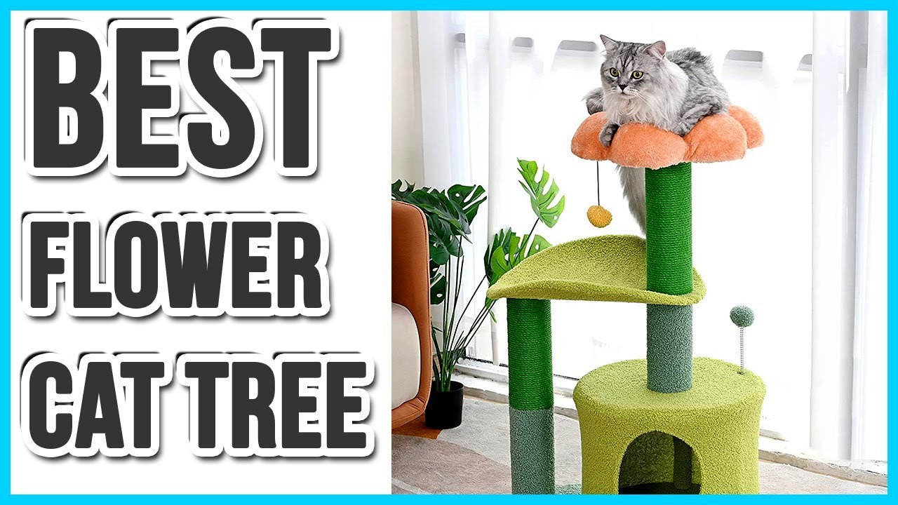 The Hottest Trends In The World of Best Flower Cat Trees YouTube