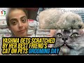 Yashma GETS Scratched By Her Best Friend's Cat On Pets Grooming Day | Vlog | Yashma Gill | SU1