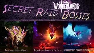 4th Secret Raid Boss! An In-Depth Guide On The Chaos Chamber Raid Bosses! Tiny Tina's Wonderlands