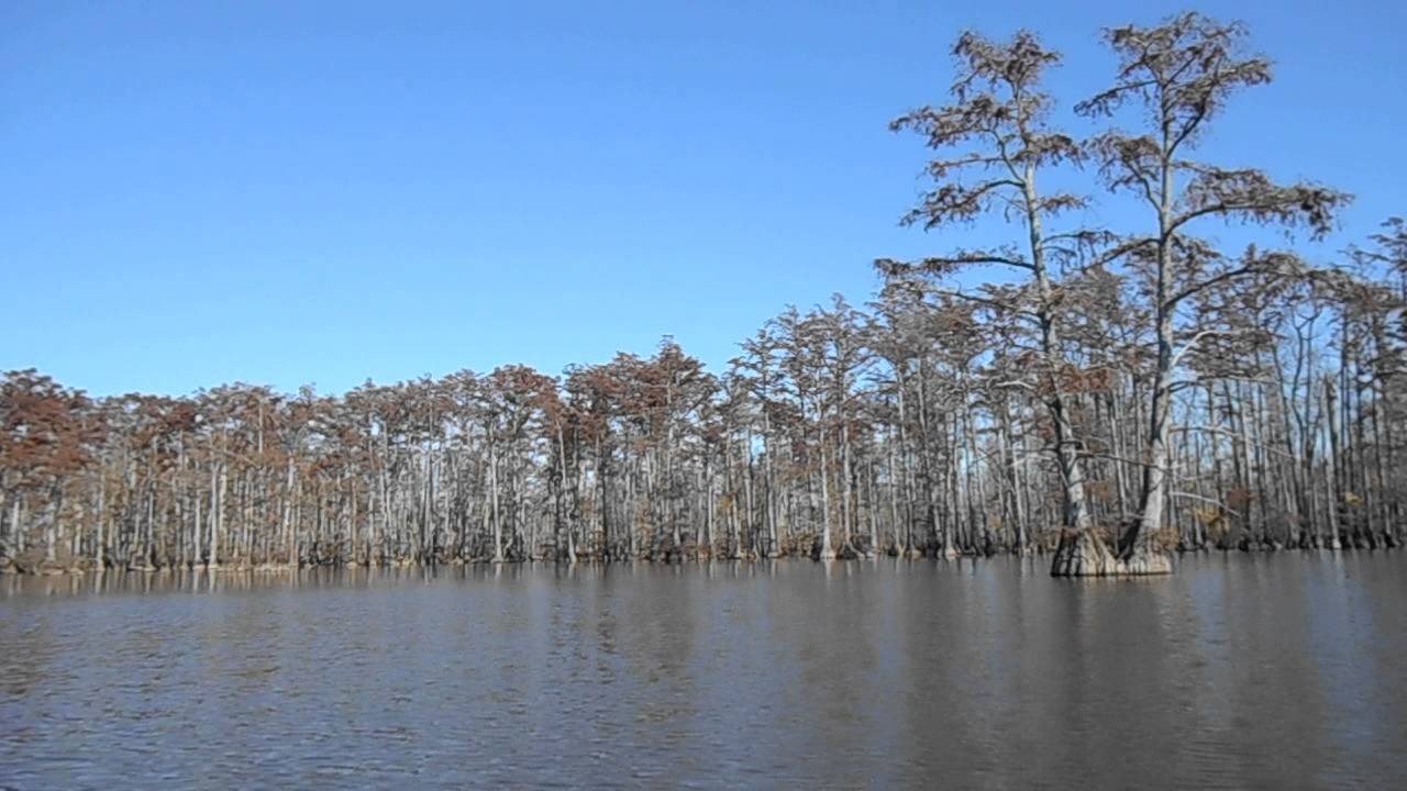 More Paddling Horseshoe Lake in Southern Illinois YouTube