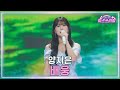 클린버전 양지은 배웅 미스쓰리랑 44회 TV CHOSUN 250312 방송 클린버전 양지은 배웅 미스쓰리랑 44회 TV CHOSUN 250312 방송