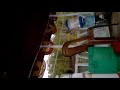 Sundarban video