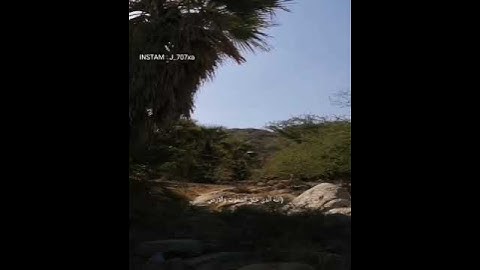 {الله الذي خلق السموات والارض ومابينهما في ستة ايام} سورة: سجدة #القارئ : عبدالرحمن مسعد😴♥️♥️.