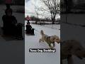 POV: Coming up with Winter Storm Activities in Texas