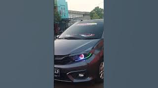 Lampu mata papih muda#basuri #shoort #fypシ゚viral