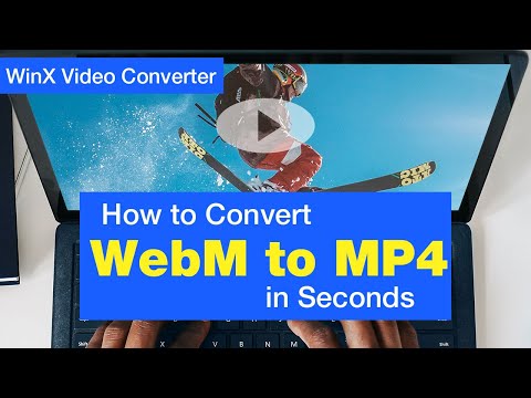 วิธีแปลง WebM เป็น MP4 ในไม่กี่วินาที [Beginner’s Tutorial]